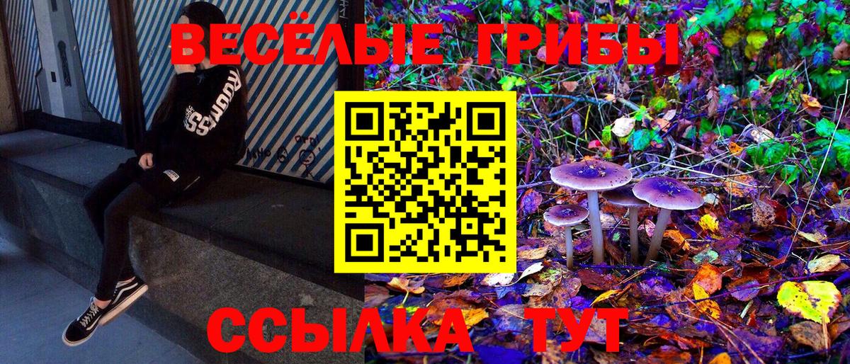 Сыктывкар  Галлюциногенные грибы GOLDEN TEACHER  Вход с VPN  Псилоцибиновые грибы мицелий 